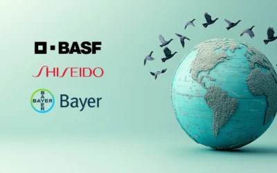 Casos reales: empresas que transformaron su negocio mediante cursos de idiomas